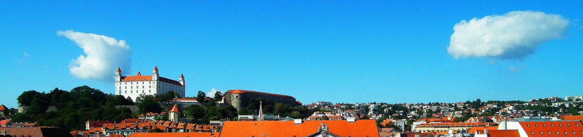 View of Bratislava castle and red roofs of the Bratislava old town